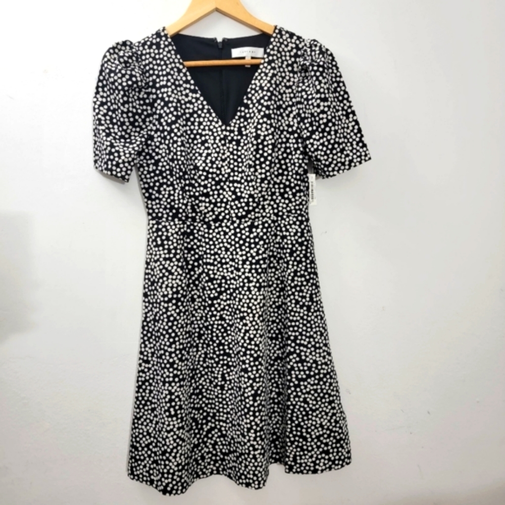 Lark and Ro Womrns Black/Ivory Polka Dot Dress Size 0